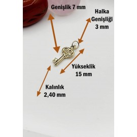 14 Ayar Altın Mini Anahtar Kolye Ucu