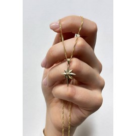 14 Ayar Altın Kutup Singapur Zincir Kolye