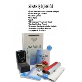 14 Ayar Altın Dorika Ince Aynalı Zincir Kolye