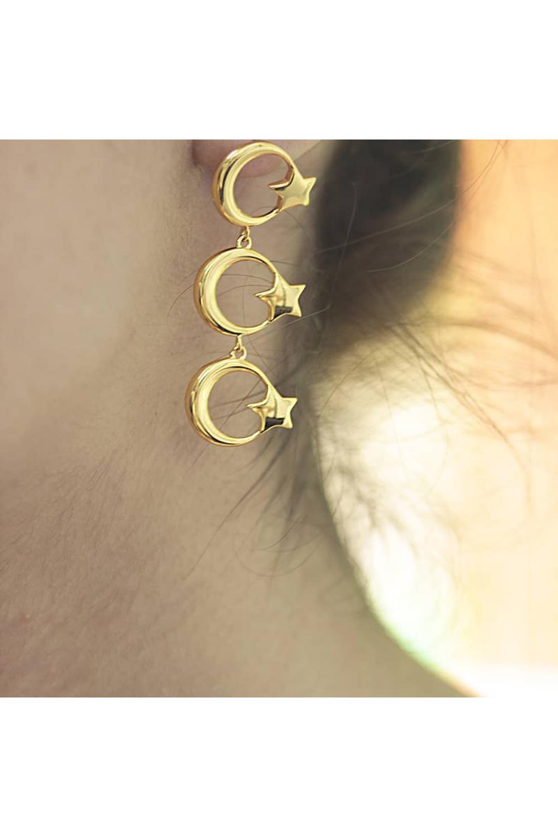 Ayyıldız Altın Küpe TD340